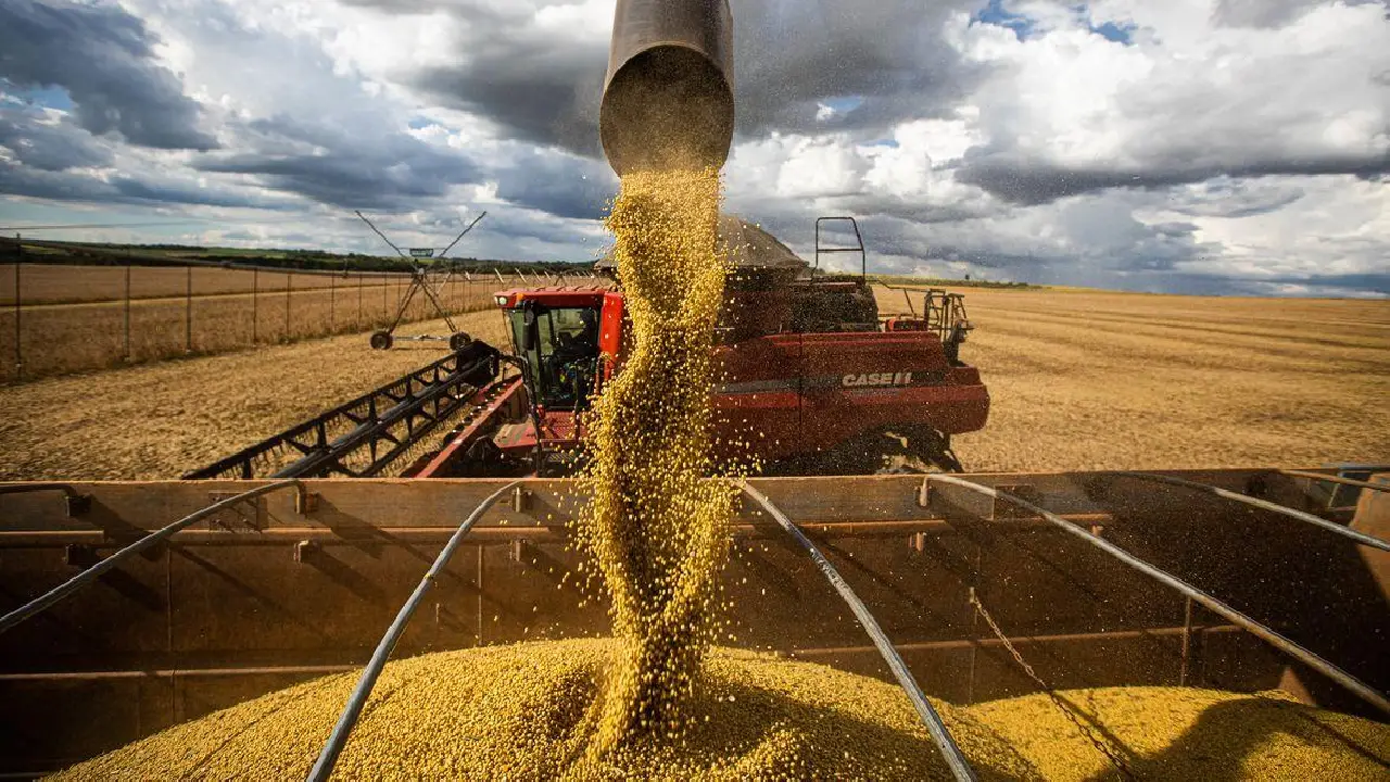 Tarifaço dos EUA vai atingir mais de 36% das exportações do agro brasileiro