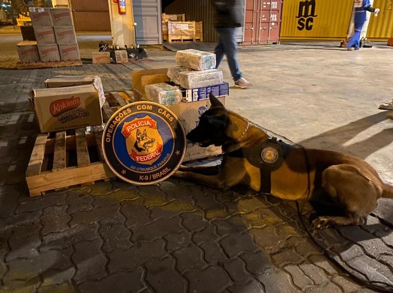 PF apreende cinco toneladas de cocaína no Porto do Rio de Janeiro