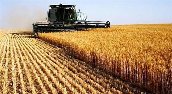 Agronegócio brasileiro conquista quase US$ 5 bilhões em negócios no mercado externo