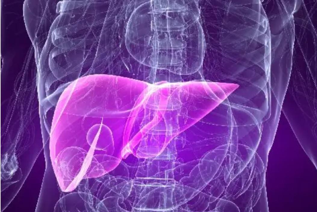 Brasil tem 28 casos suspeitos de hepatite de causa desconhecida