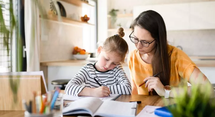 Câmara aprova MP que regulamenta ensino domiciliar
