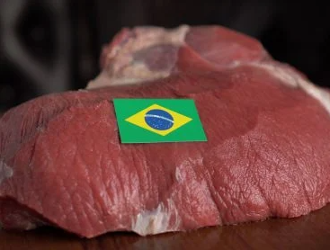 Brasil é o maior exportador de carne bovina do mundo e quarto maior produtor de grãos, diz estudo