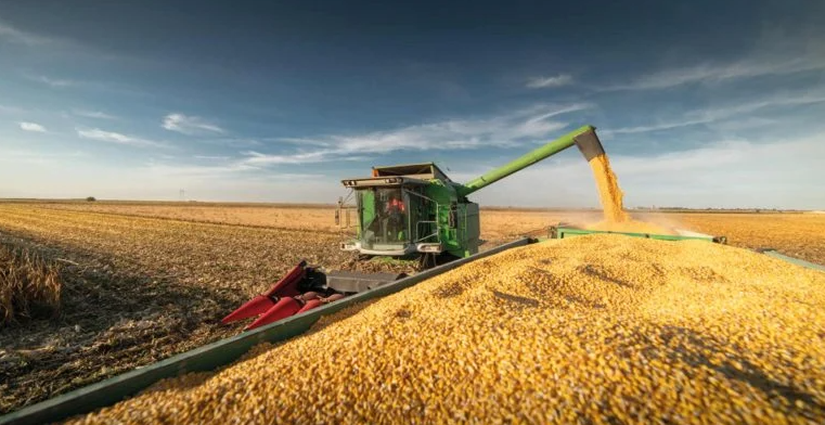 Agronegócio emprega 20% da população ocupada no Brasil