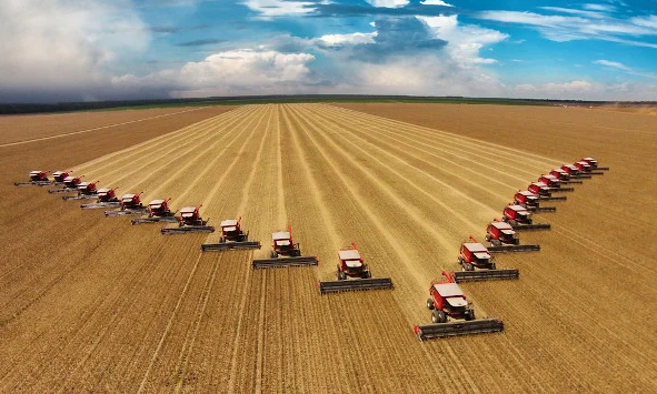 Agronegócio brasileiro ainda está ‘aquecendo os pneus’, afirma especialista