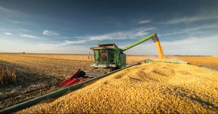 Brasil quase triplica a receita com exportações de milho para União Europeia