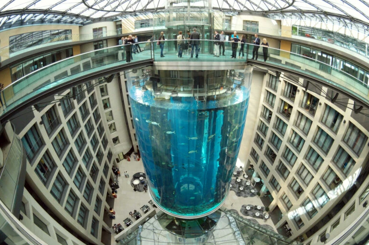 Aquário gigante explode e 1.500 peixes são lançados na rua
