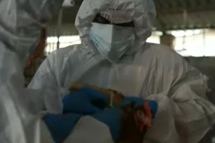 Equador declara emergência sanitária devido a surto de gripe aviária