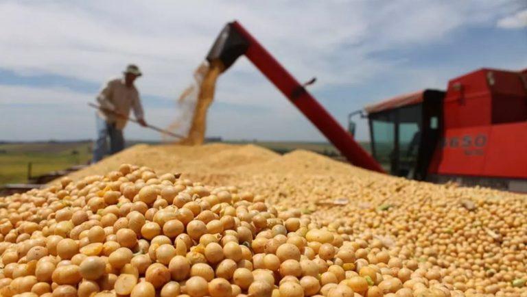 O mais recente ataque do Greenpeace ao agronegócio brasileiro