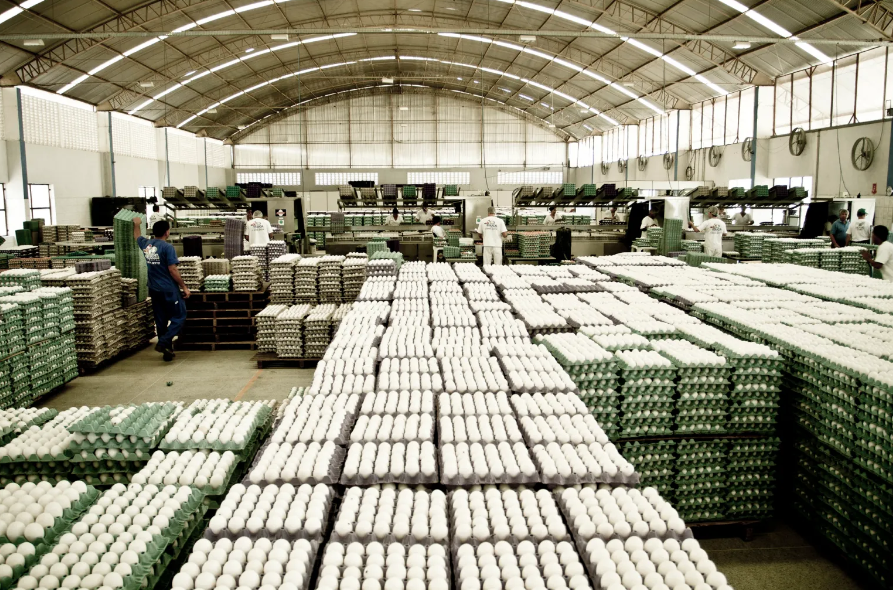Preços dos ovos atingem recordes no Brasil em 2023