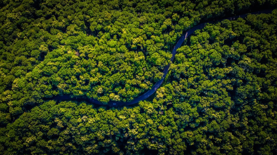 Amazônia representa 90% da área queimada no Brasil no 1º bimestre de 2023