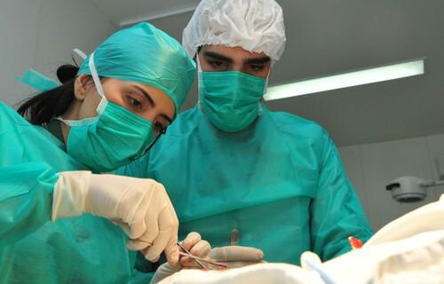 Entra em vigor lei que dispensa aval do cônjuge em esterilização