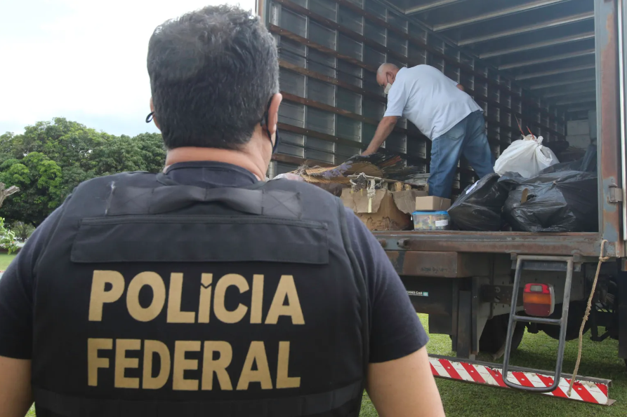 PF faz operação contra grupo que vendia drogas pelos Correios