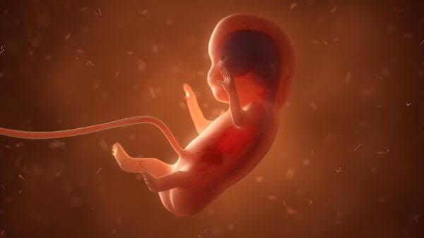 Projeto que pode facilitar financiamento do aborto no Brasil é retirado de pauta