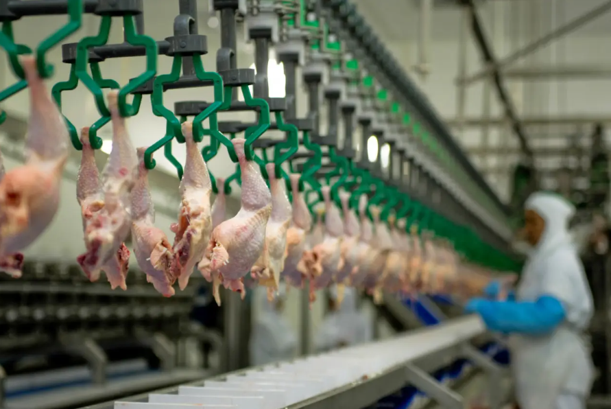 Carne de frango fica mais cara