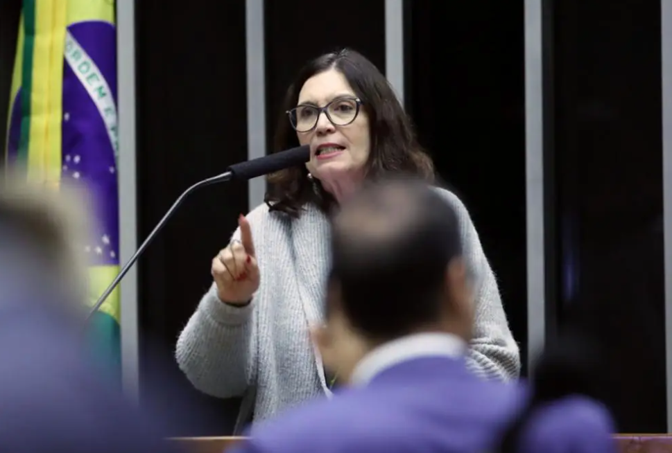 Deputada quer explicação de Dino sobre investida contra o Google