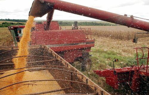 Em 2022, cadeia de soja e biodiesel representou 27% do PIB do agronegócio brasileiro e gerou 2 milhões de empregos