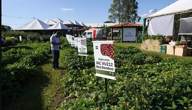 Governo de SP libera R$ 200 milhões em linhas de financiamento para a Agroindústria