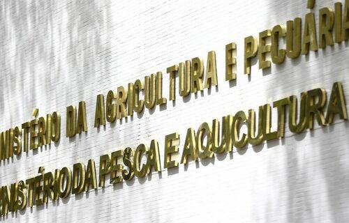 Gripe aviária é detectada em 3 aves silvestres no litoral do Espírito Santo