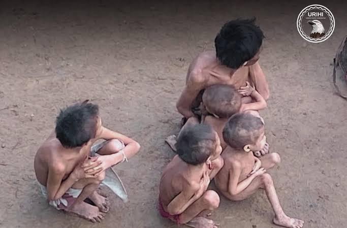 122 índios Yanomamis morrem em 2023 em seu território; a maioria são crianças