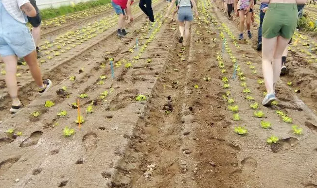 Ativistas ambientais vandalizam fazenda experimental na França