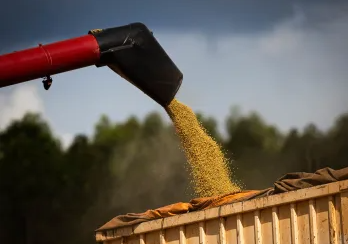 Impulsionado pelo agro, PIB do Brasil sobe 1,9% no 1º trimestre