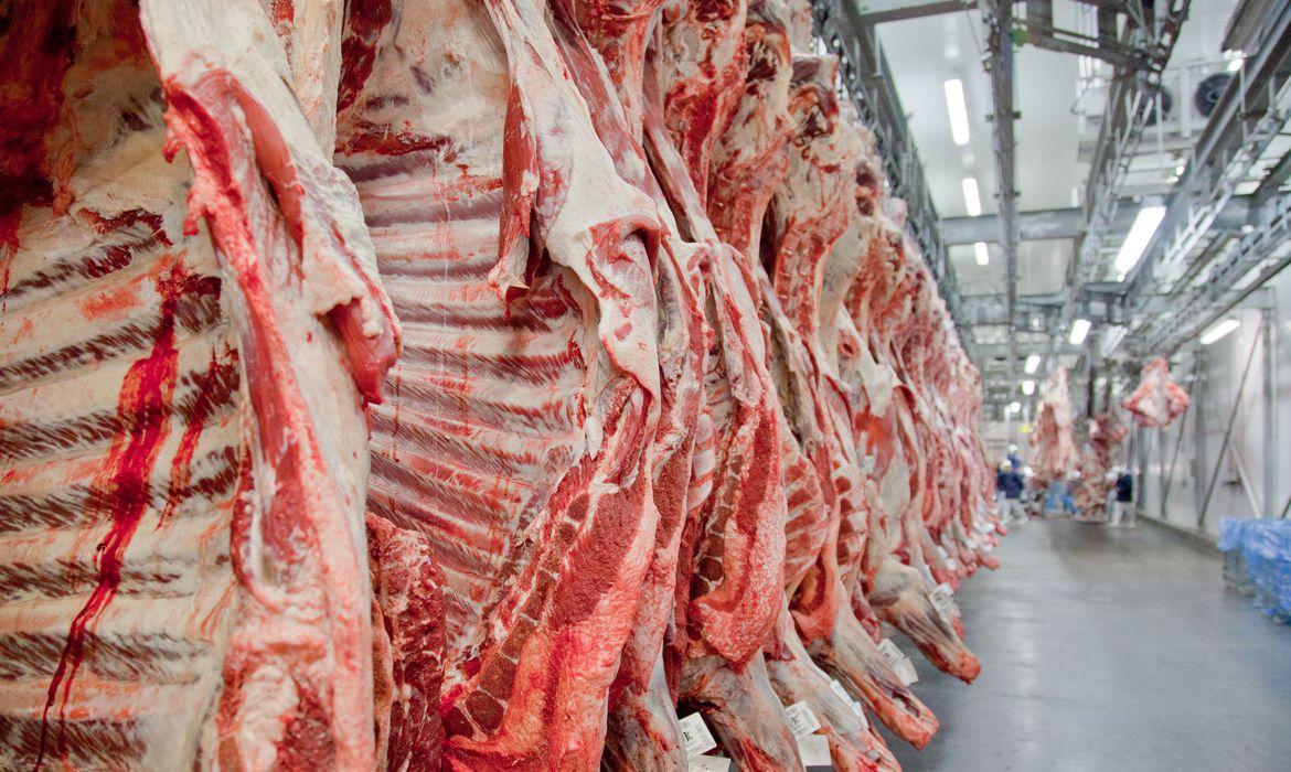 Receita com exportações de carne bovina despenca no governo Lula