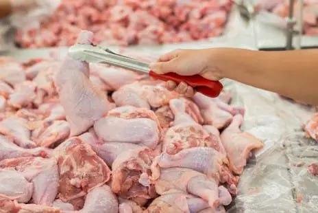 Ciclone no RS: uma das principais empresas produtoras de carnes de aves do país paralisa produção
