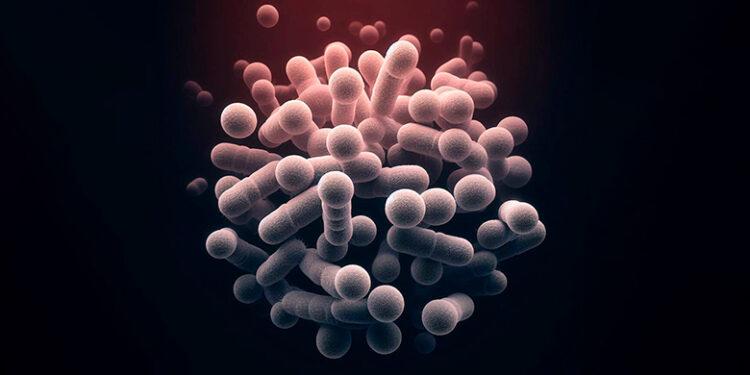 Suspeição de doença causada por bactéria provoca suspensão de aulas em escolas de Minas Gerais