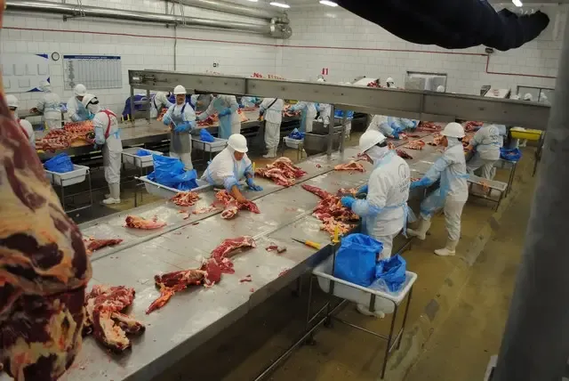 Empresa líder no mercado de carne registra prejuízo líquido de R$ 112 milhões no terceiro trimestre
