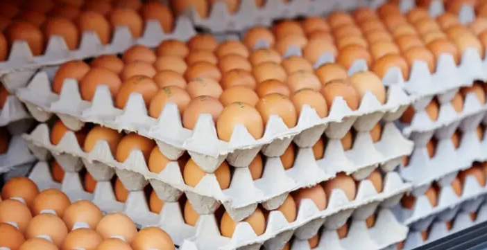 Brasil registra a maior produção de ovos da história