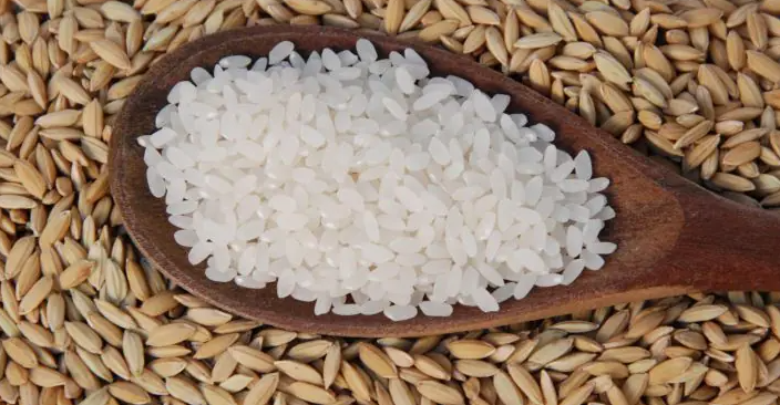 Arroz brasileiro está mais caro do que nunca