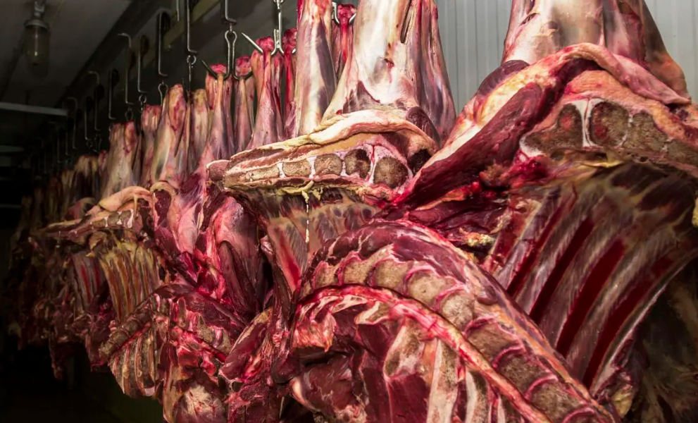 Exportações de carne bovina desabam em 2023