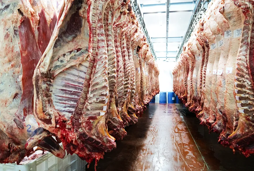 Rondônia se consolida em 1º lugar da região Norte na exportação de carne bovina