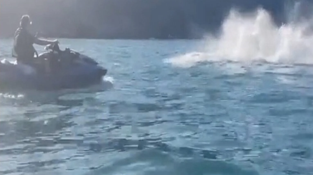 Bolsonaro depõe hoje à PF sobre suposta ‘importunação’ a baleia