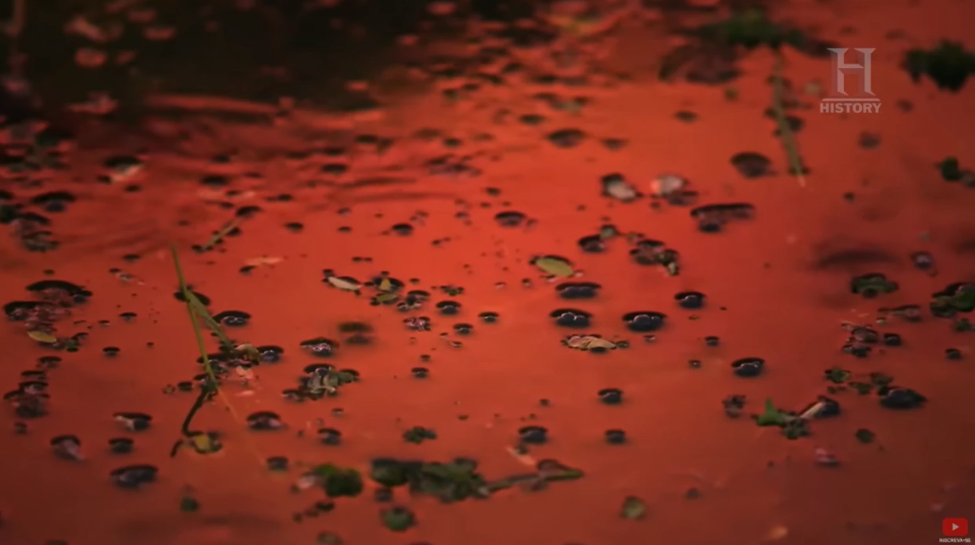 Chuva de sangue pode atingir o Reino Unido; entenda