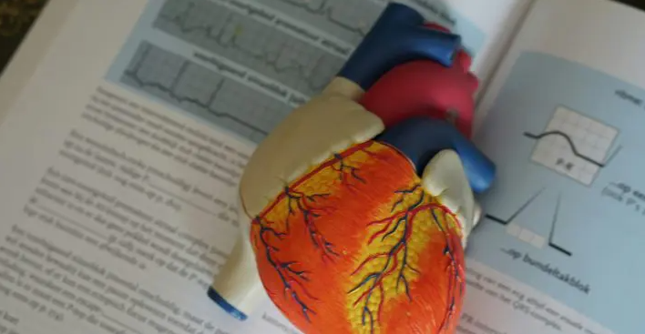 Nova resposta inovadora à parada cardíaca pode salvar vidas