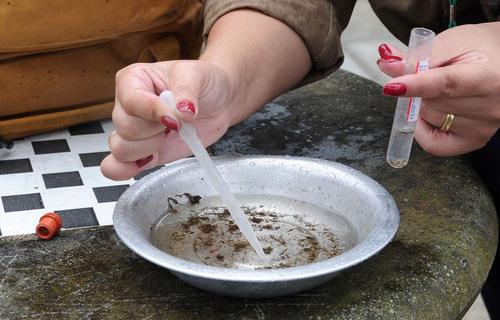 Paraná registra mais de 8 mil casos de dengue e 7 mortes em uma semana