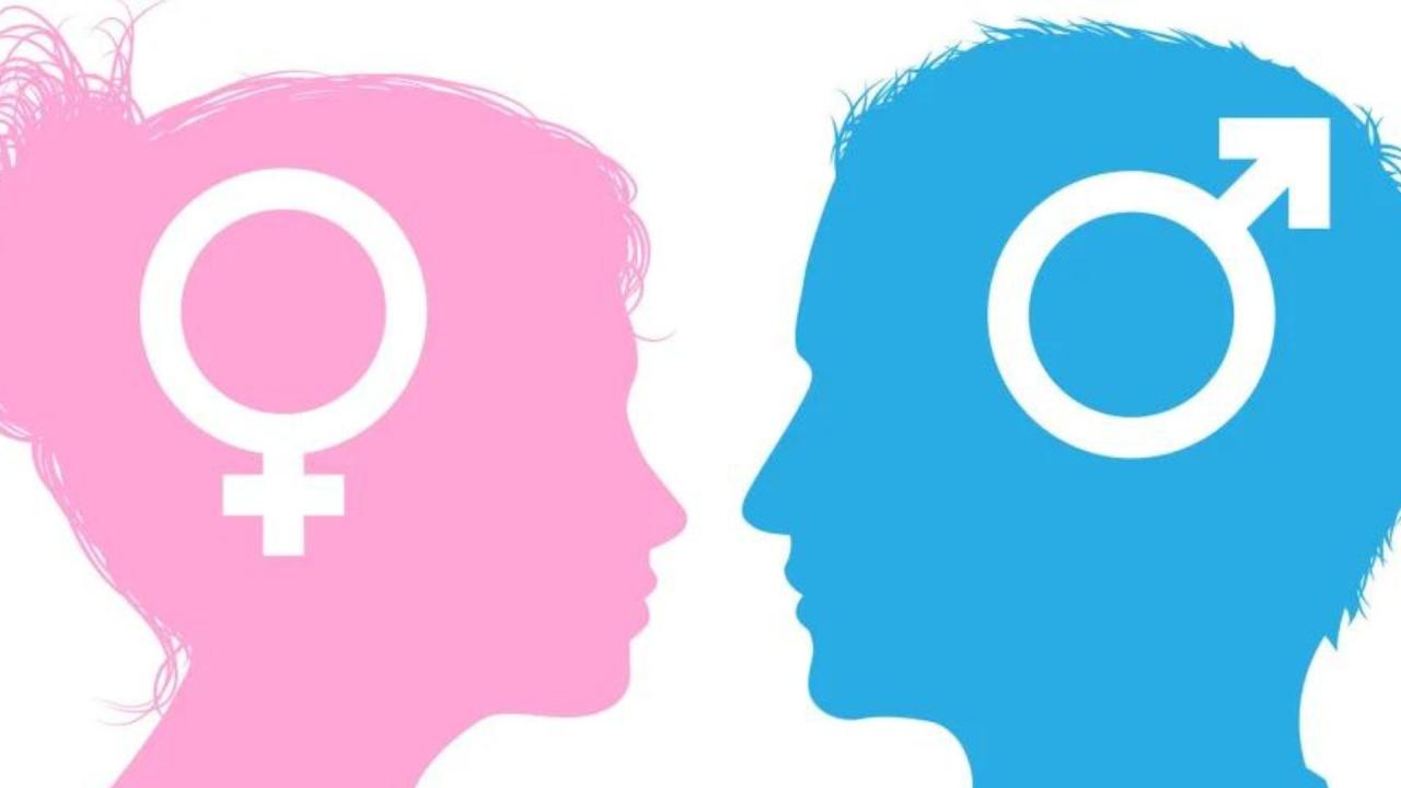 Pela primeira vez, cientistas descobrem evidências empíricas de diferenças cerebrais entre homens e mulheres