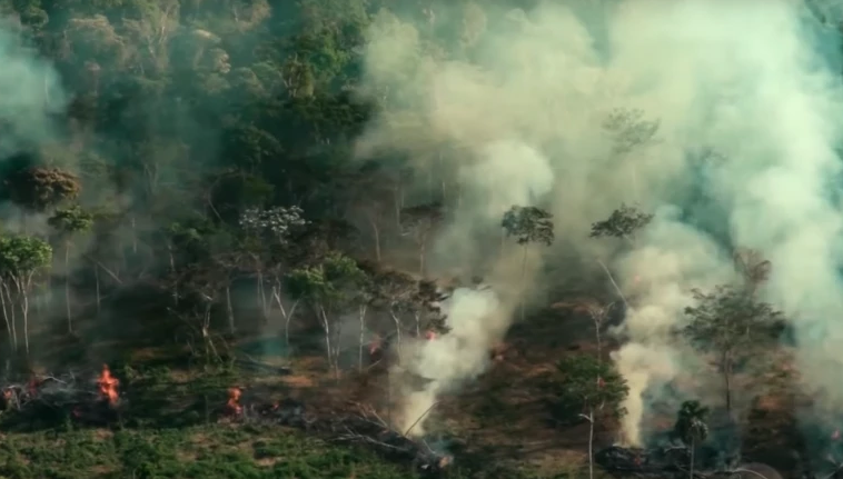 Área queimada no Brasil no mês de fevereiro sobe 410% em 2024
