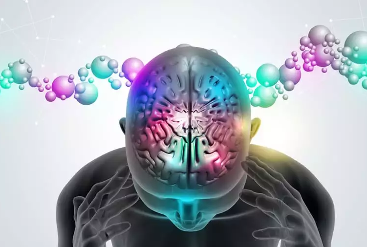 Estudo Revela Que Mais De 40% Da População Mundial Vive Com Condições Cerebrais