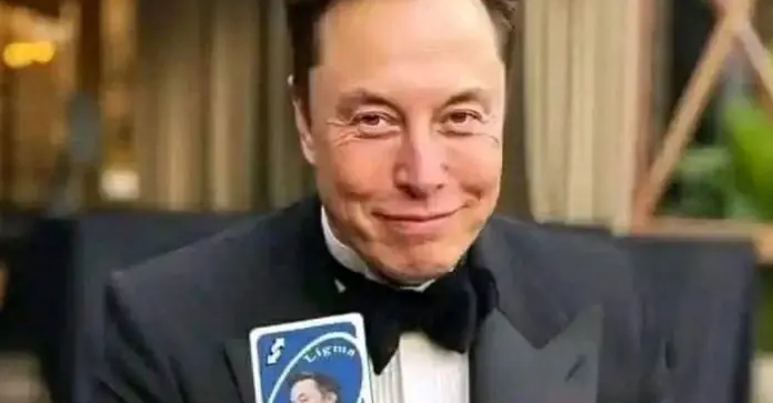 Elon Musk diz que ‘vírus mental woke‘ na imprensa dos EUA vai morrer