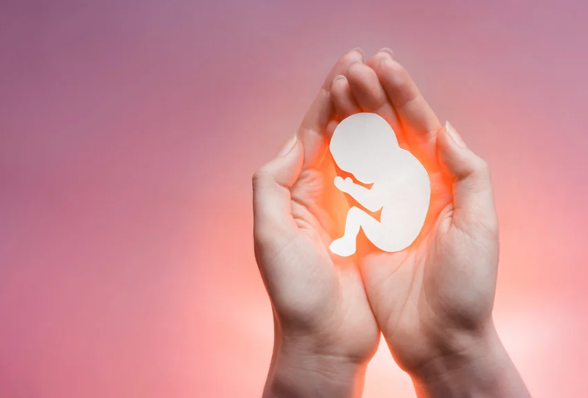 Suprema Corte Da Flórida Profere Duas Decisões Importantes Sobre Aborto Que Irritam Biden