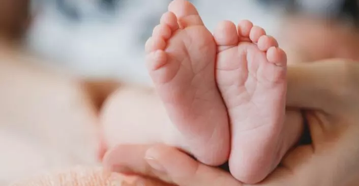 Assistolia fetal: procedimento usado para abortar bebês é ‘método inaceitável’ para eutanásia de animais