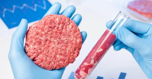 Flórida proíbe carne cultivada em laboratório; outros 3 Estados dos EUA também tentam vetar produto