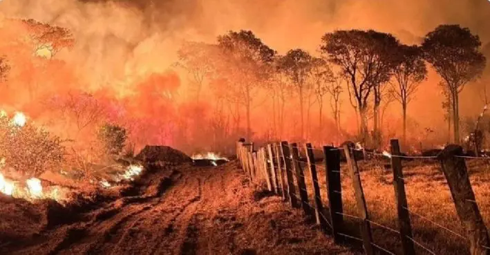 Número de queimadas aumenta mais de 80% no país