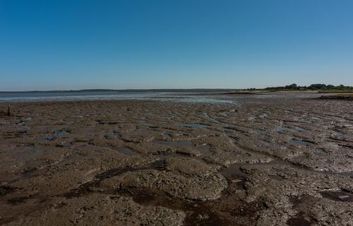 RS: enchentes comprometem fertilidade do solo e deixarão algumas lavouras irrecuperáveis, apontam especialistas