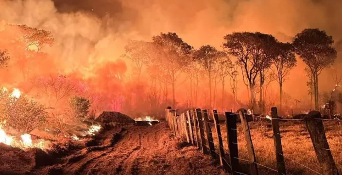 Número de incêndios aumenta mais de 900% no pantanal em 2024