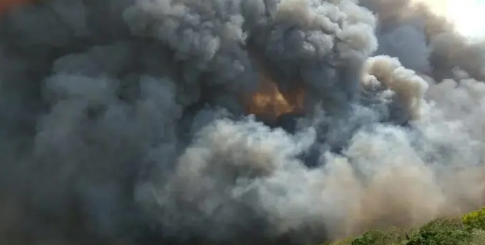 Gigante do agro reporta perdas com as queimadas em São Paulo