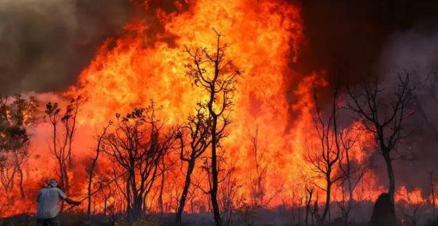 Brasil encerra mês de setembro com mais de 80 mil focos de incêndio