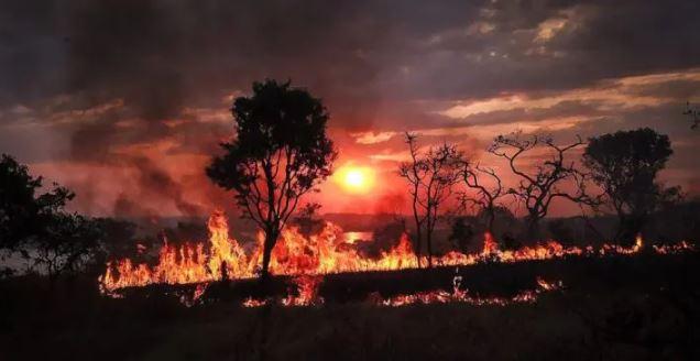 Sob Lula, desmatamento cresce no cerrado e na Amazônia Legal